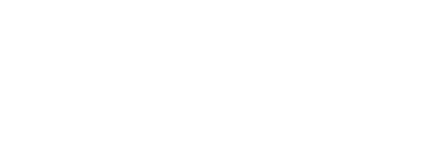L-MARK